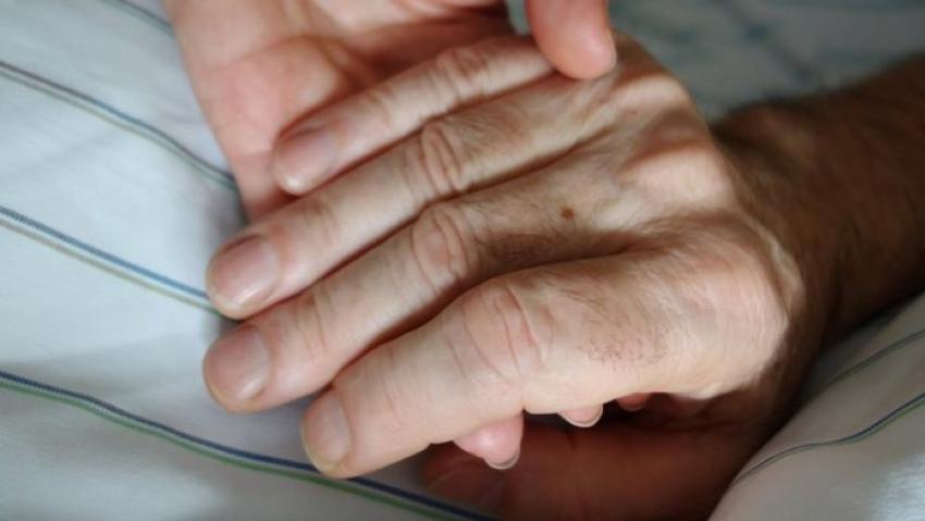 Andalucia carries out its first euthanasia