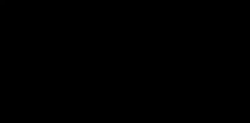 Itinerario del Festival Internacional de Cine de Marbella 2021