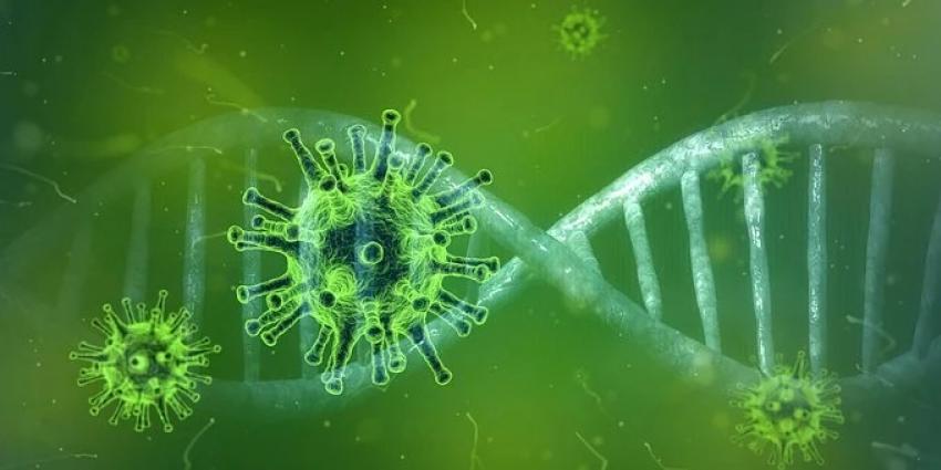 Omicron cases in South Africa reportedly rise by 403% in one week