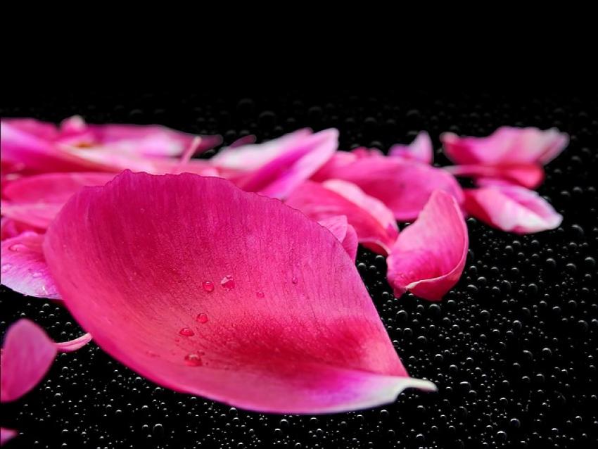 Large Thursday17thaugust2017083737am